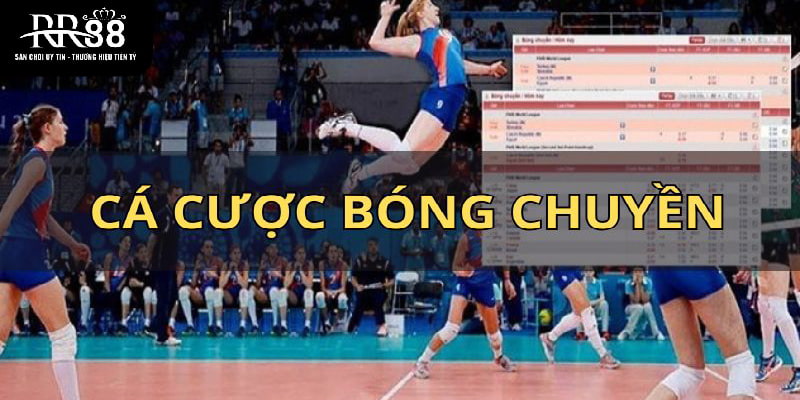 Cá cược bóng chuyền - loại hình giải trí hấp dẫn 