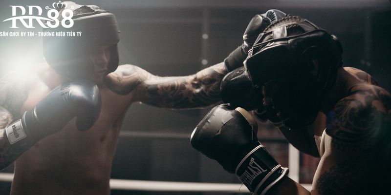 Giới thiệu bộ môn boxing đang phát triển tại các nhà cái trực tuyến